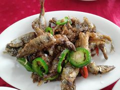 -蛇口康乐快餐鱼仔档(翠苑小区店)