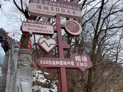 -终南山国家森林公园