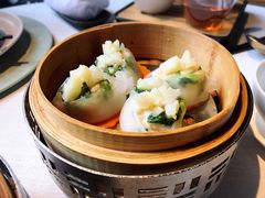 菜苗带子饺-三号黄浦会Canton Table