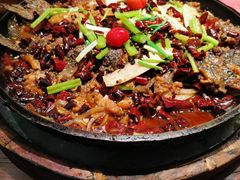 -老板恋上鱼(荣盛广场店)