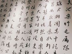 -羲和雅苑•北京烤鸭(乐园道万象城店)