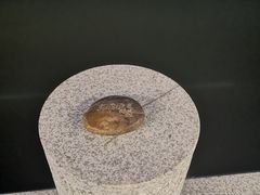 -航天无锡（738）疗养院
