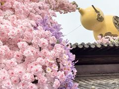 -茅山东方盐湖城景区