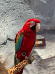 -Zoolung Zoolung动物主题公园(海信广场店)