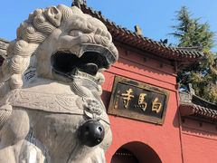 -洛阳白马寺