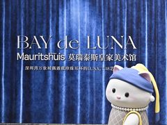 -深圳湾万象城(南山店)