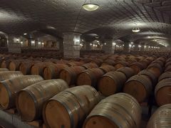 -紫轩葡萄酒庄园