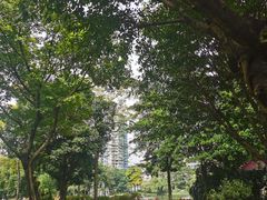-晓港公园