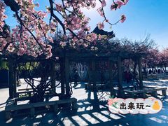 -济南大明湖景区