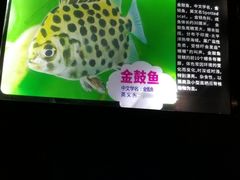 -烟台海昌鲸鲨海洋公园