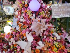 -澳洲广场