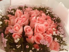 -ebeecake小蜜蜂蛋糕(酒仙桥店)