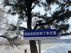 -长春净月潭风景名胜区