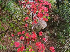 -梧桐山风景名胜区