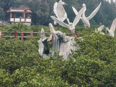 -北海金海湾红树林生态旅游区