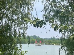 -第五季龙水凤港生态露营农场