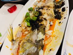 -七菜馆·东北菜·蒸饺(文体路店)