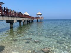-养马岛旅游度假区