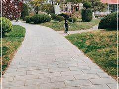 -北京世界公园
