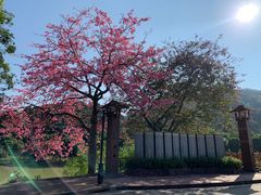 -风云岭森林公园