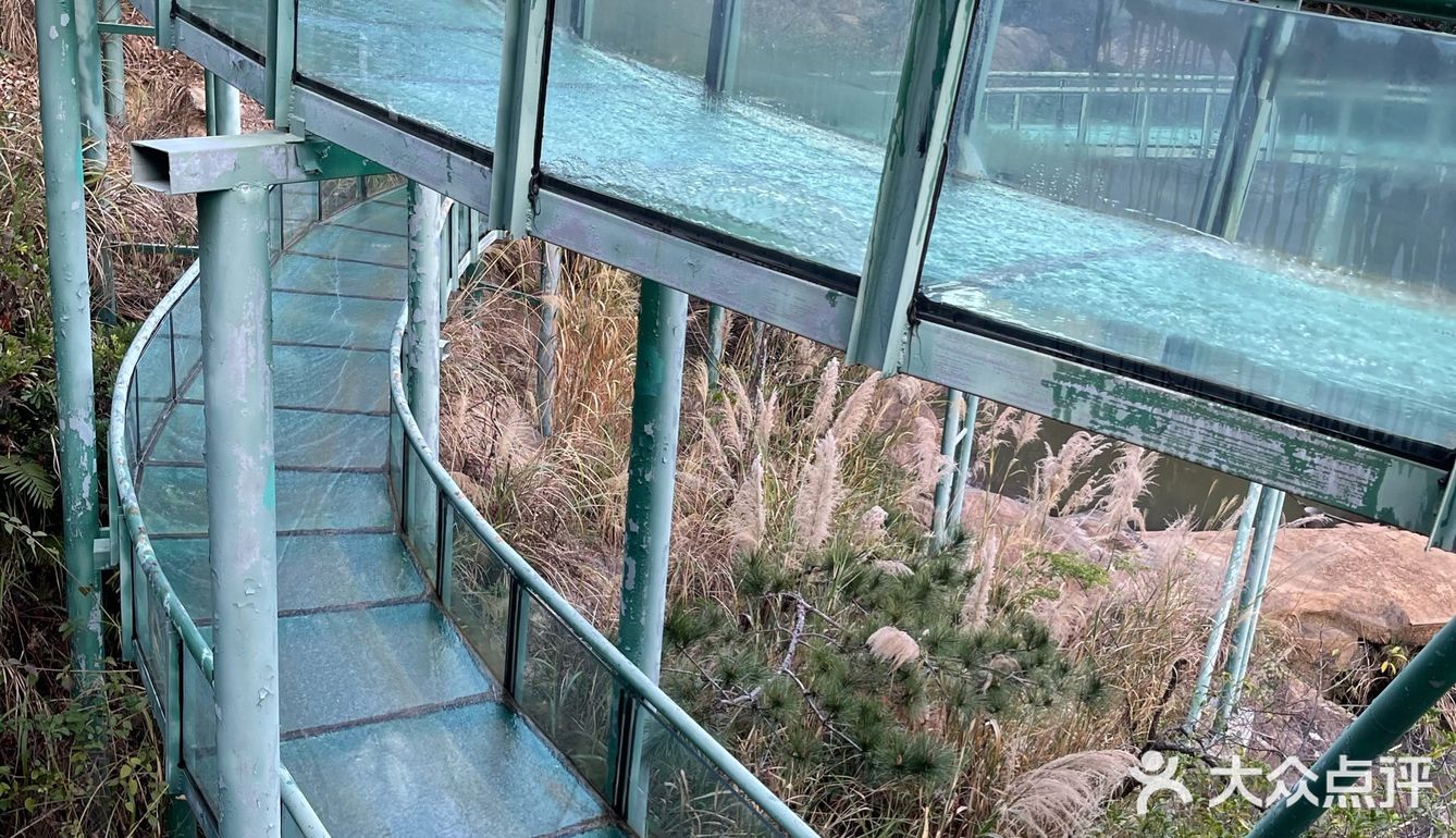 ¥10喂迷你网红小猪🐷玩激流水滑道💧潮州长隆亲子乐园