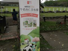 -瑞穗牧场