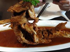 -老牌坊鲁菜名店(宽厚里店)