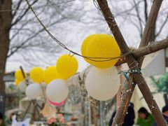 -安德鲁户外烧烤帐篷营地(马泉营店)