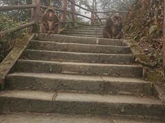 -峨眉山风景名胜区