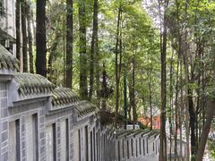 -成都老君山