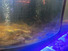 -福禧荟·海鲜自助