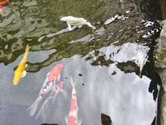 -聚福宝合苑食府(南头镇店)