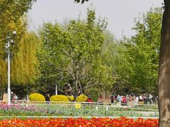 -长春公园(普阳街道)