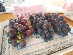 -白鹿原葡萄主题公园