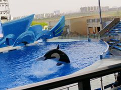 -上海海昌海洋公园