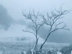 -宝鼎风景区