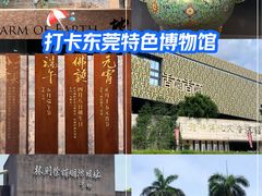 -中国沉香文化博物馆