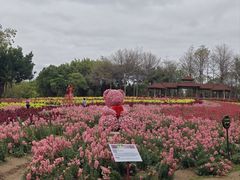 -厦门园林博览苑
