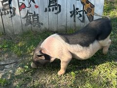 -乌村