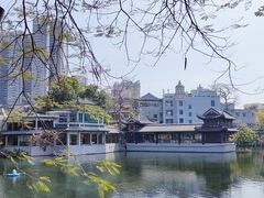 -荔湾湖公园