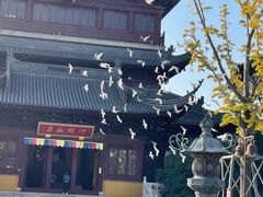 -阳澄湖半岛旅游度假区