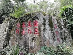 -青芝山风景名胜区