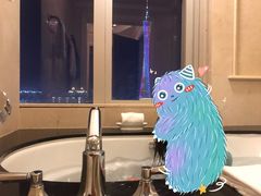 -广州富力丽思卡尔顿酒店