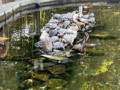-红螺寺