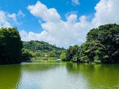 -深圳仙湖植物园