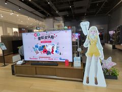 -Sony Store 索尼(来福士店)