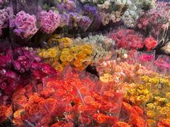 -循礼门鲜花花市(武汉循礼门店)