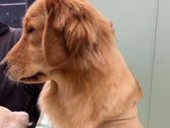 -怪兽屋·羊驼·猫咖·狗咖(俊华广场店)