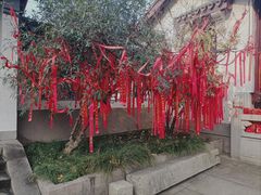 -惠山古镇·寄畅园