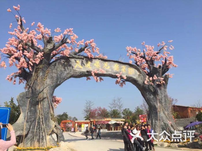 天适樱花悠乐园-图片-广州景点-大众点评网